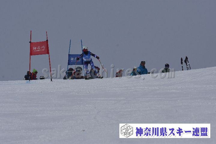 190316_095042_0.jpg