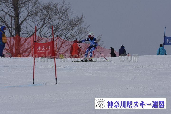 190316_095043_4.jpg