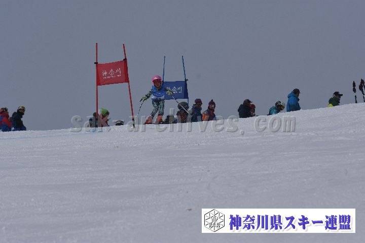 190316_095107_3.jpg