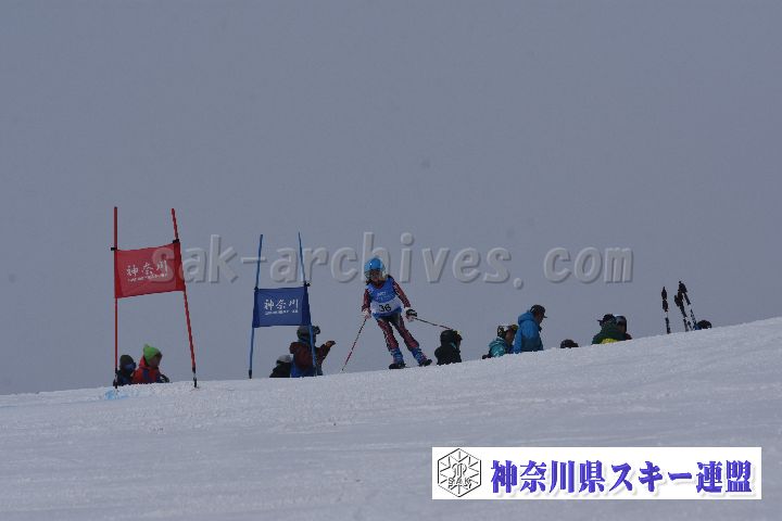 190316_095240_2.jpg