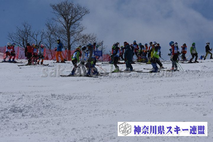 190316_125526_0.jpg