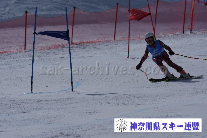 190316_134114_2.jpg