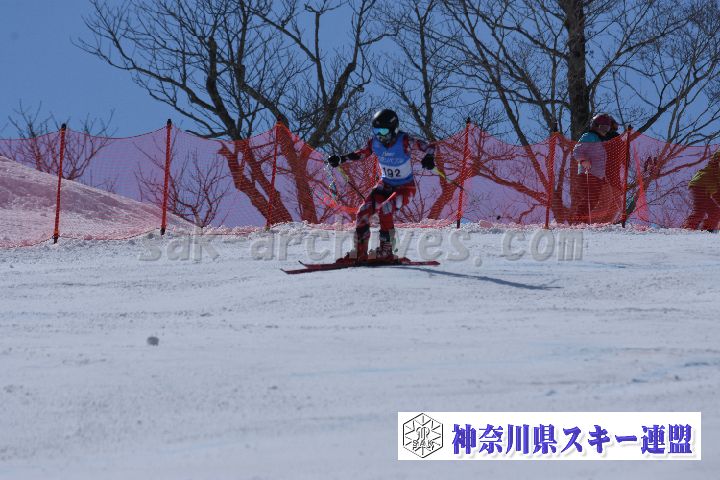 190316_134512_2.jpg