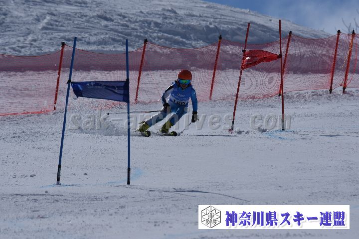 190316_134641_1.jpg