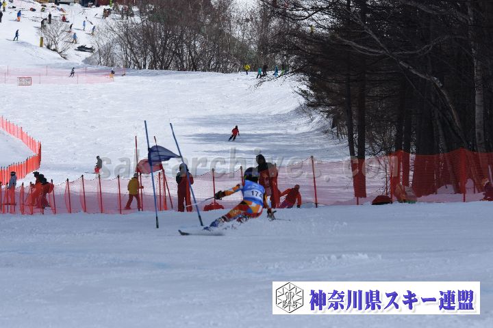 190316_135223_1.jpg
