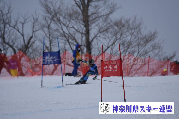 190316_105856_0.jpg