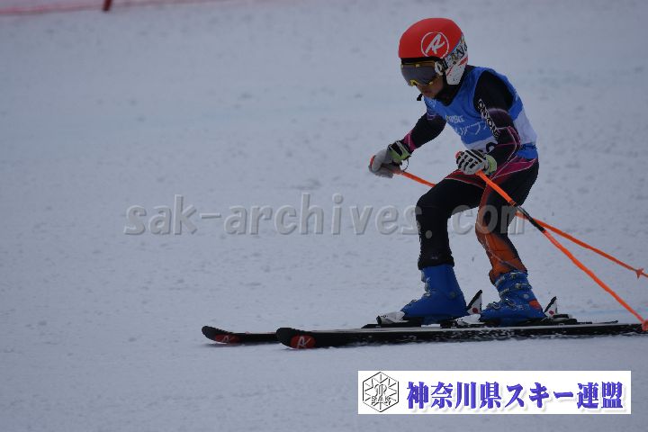 190316_110636_0.jpg