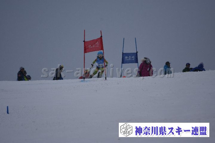 190316_103541_1.jpg