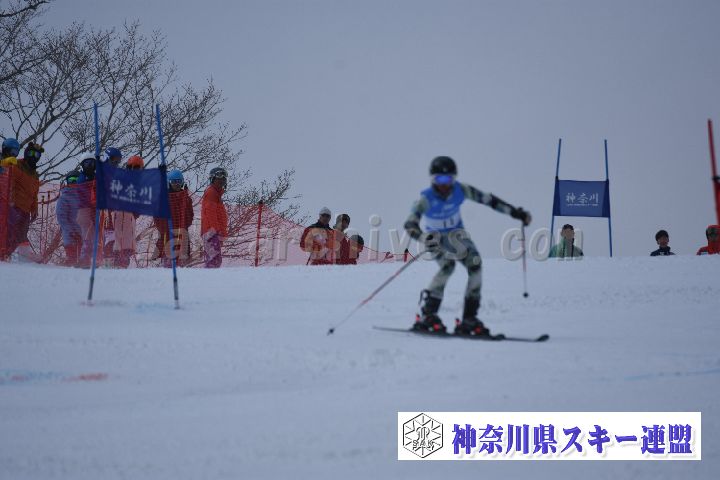 190316_112422_1.jpg