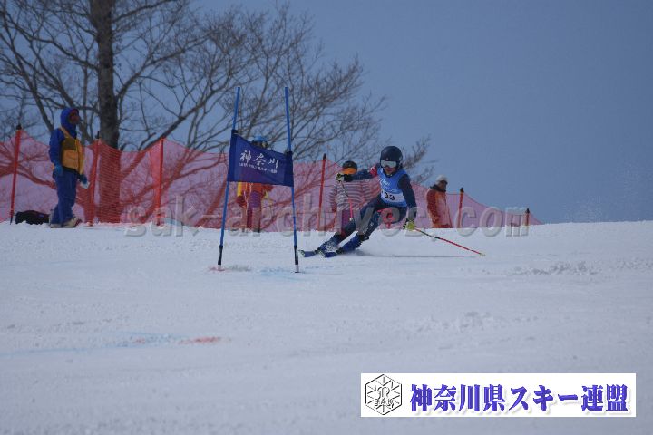 190316_112647_0.jpg