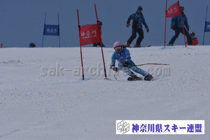 190316_113012_5.jpg