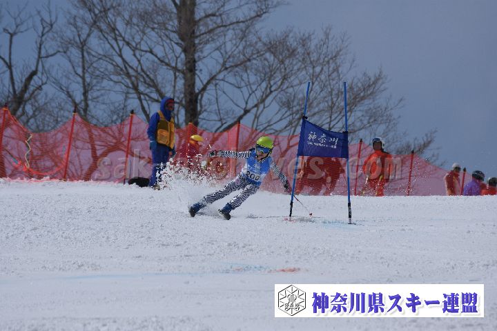 190316_114412_2.jpg