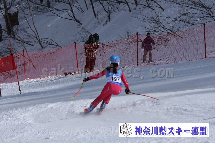 190316_140056_1.jpg