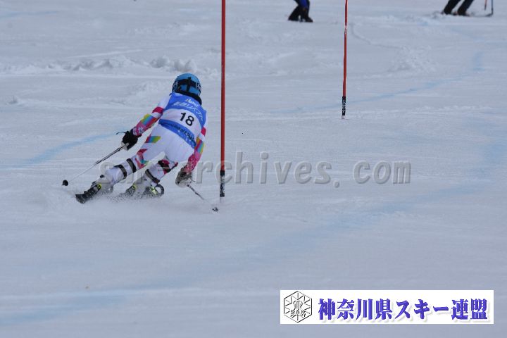 190317_124153_2.jpg