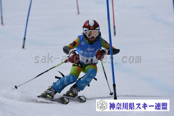 190317_124309_0.jpg