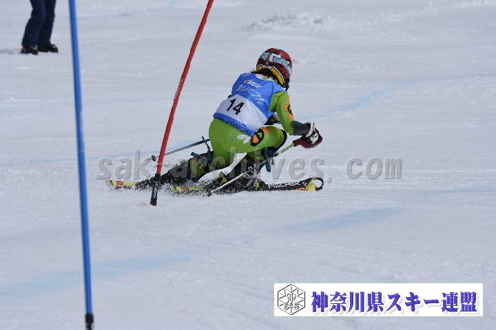 190317_124316_1.jpg