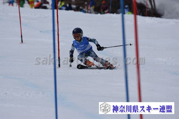 190317_124406_1.jpg