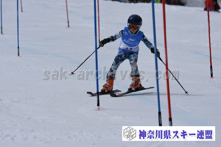 190317_124409_1.jpg