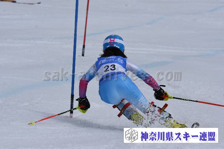 190317_124515_0.jpg