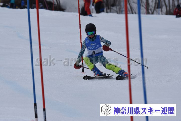 190317_124636_0.jpg
