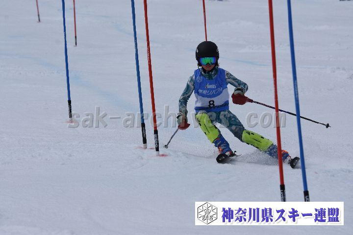 190317_124637_3.jpg