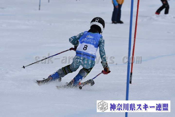 190317_124644_0.jpg