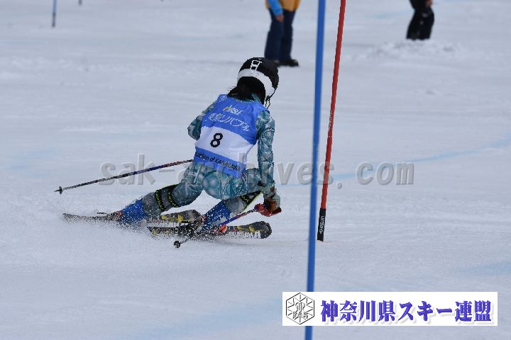 190317_124644_1.jpg