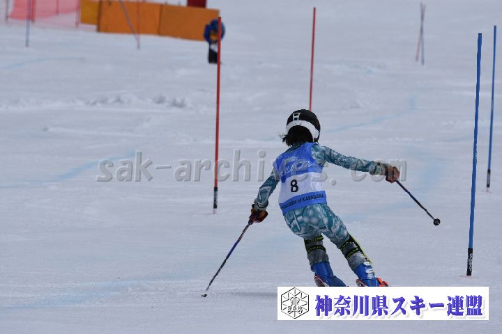 190317_124645_0.jpg
