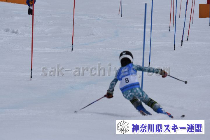 190317_124645_1.jpg