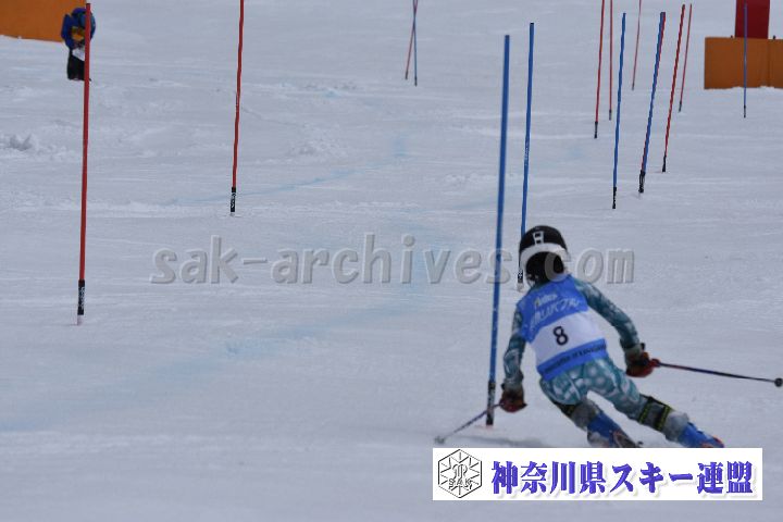 190317_124645_2.jpg