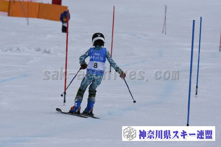 190317_124646_1.jpg
