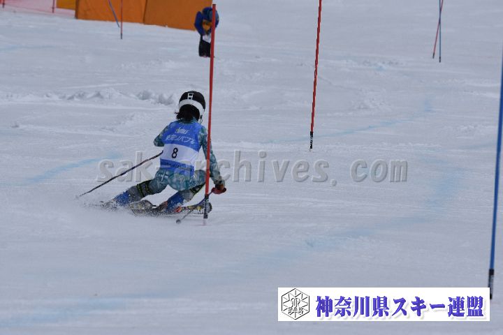 190317_124646_4.jpg
