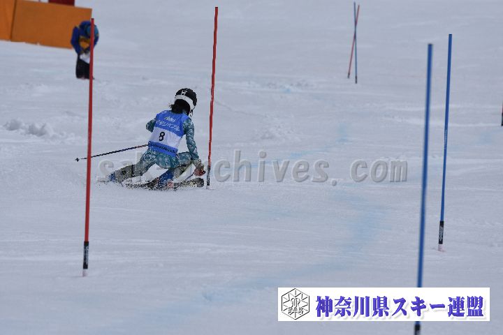 190317_124649_0.jpg