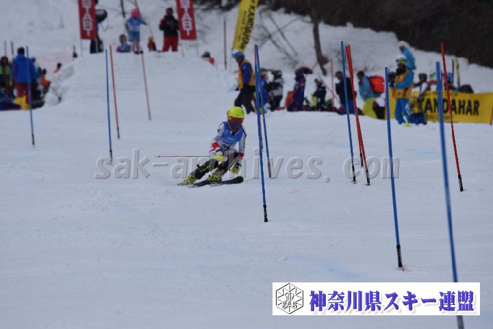 190317_124700_0.jpg