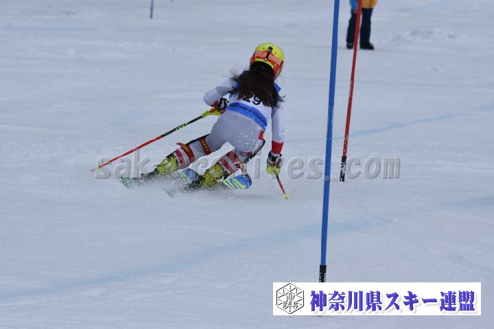 190317_124716_0.jpg