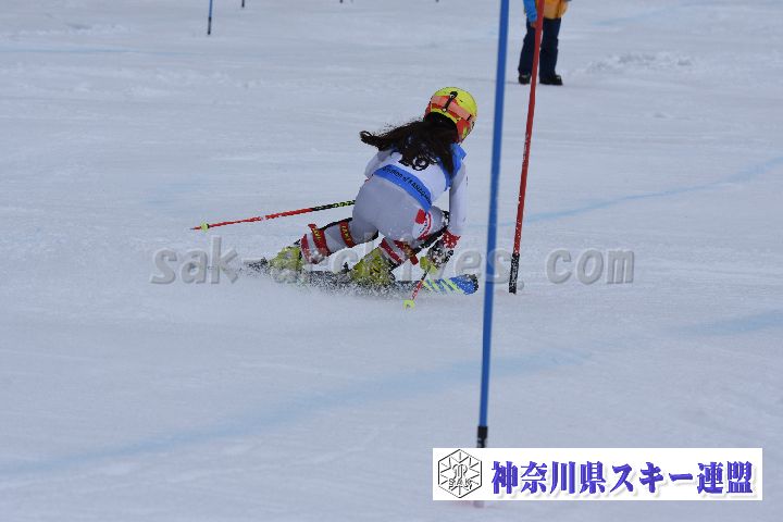 190317_124716_1.jpg