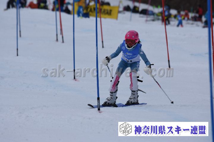 190317_124736_0.jpg