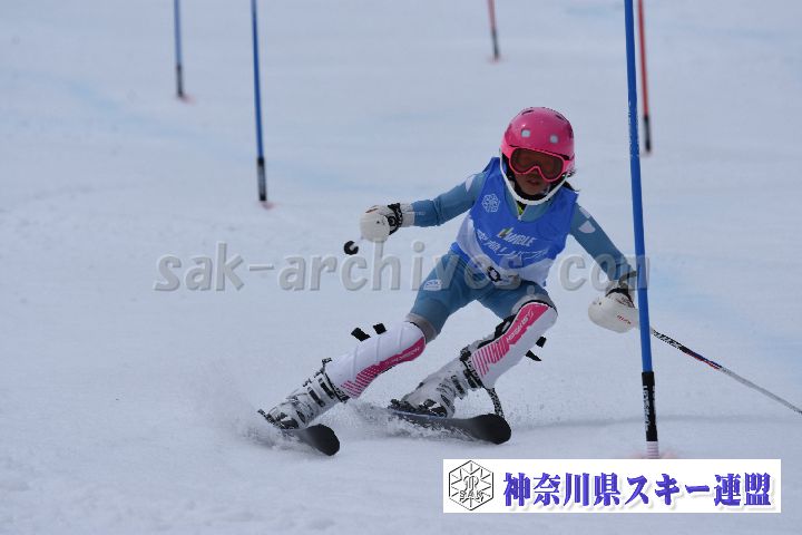 190317_124739_0.jpg