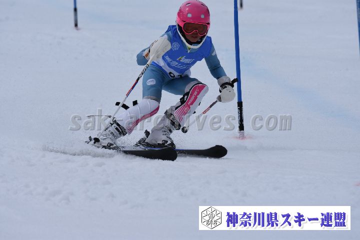 190317_124739_2.jpg