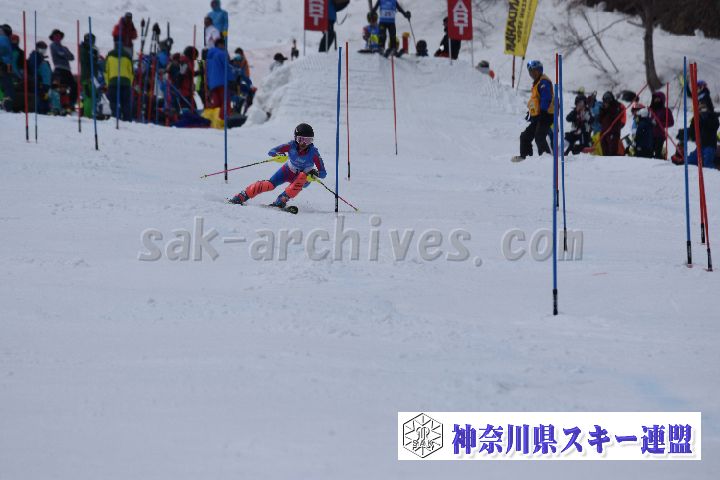 190317_124800_0.jpg