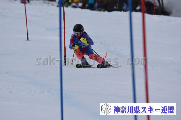 190317_124809_0.jpg