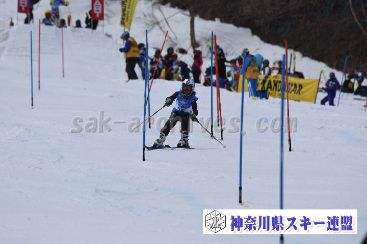 190317_124831_0.jpg