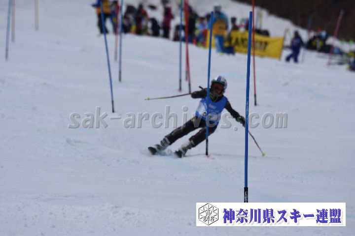 190317_124834_0.jpg