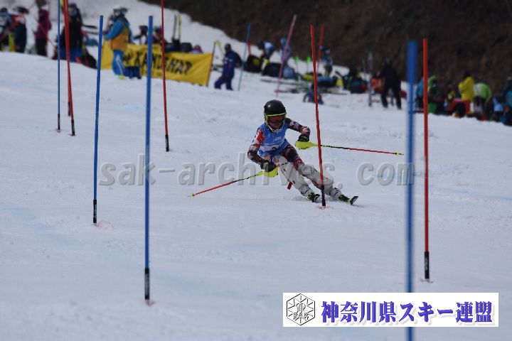 190317_124904_0.jpg