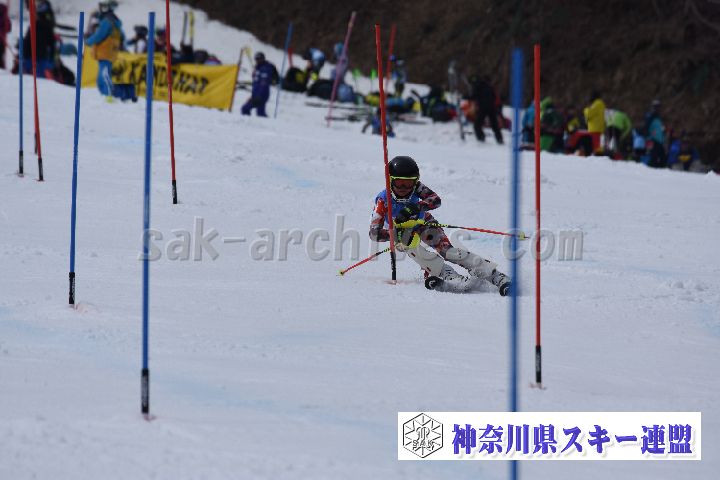 190317_124904_1.jpg
