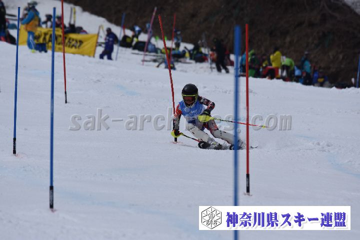 190317_124904_2.jpg