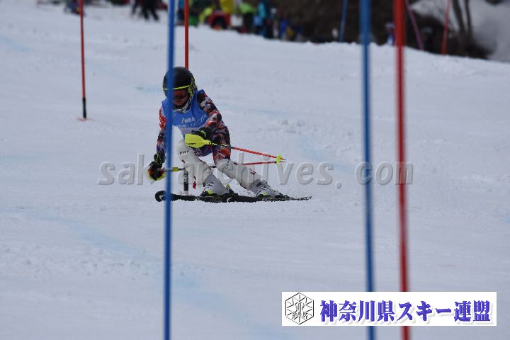 190317_124907_1.jpg
