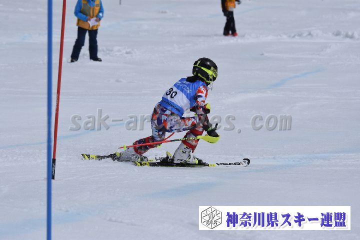 190317_124917_1.jpg