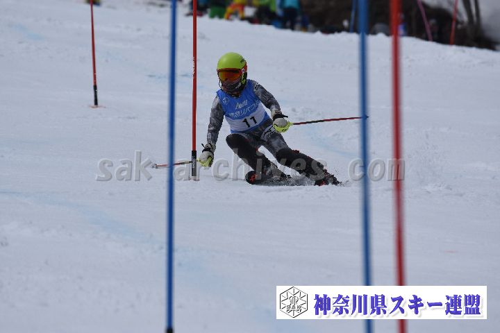 190317_124935_1.jpg