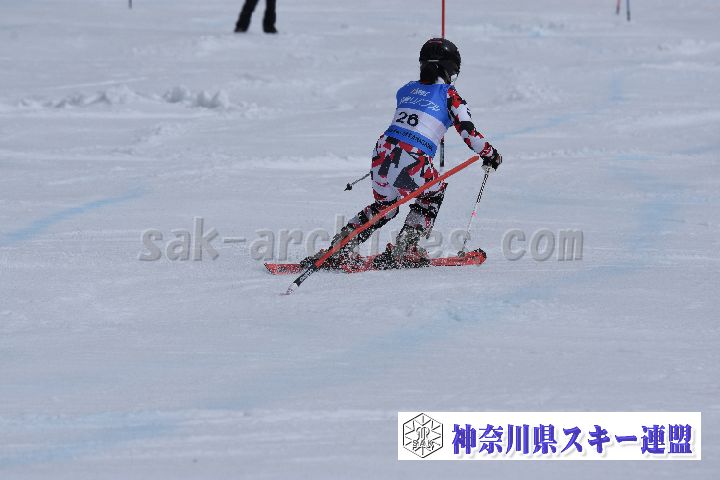 190317_125021_0.jpg